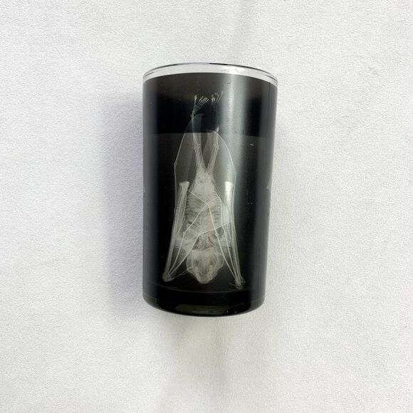 Ashland Halloween X-ray Bat Candle - Picture 2 of 5